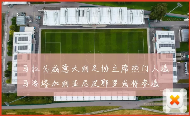 马拉戈成意大利足协主席热门人选马洛塔加利亚尼皮耶罗或将参选